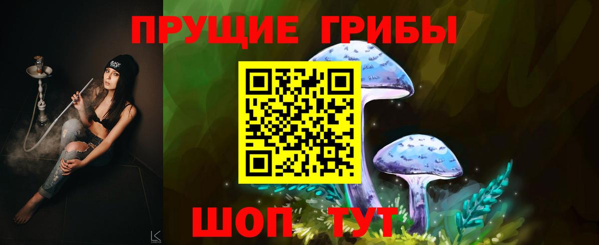 Галлюциногенные грибы Psilocybe Урус-Мартан